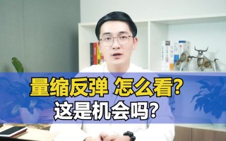 雷速官网-汉堡SV遭遇困境，寻求反弹机会